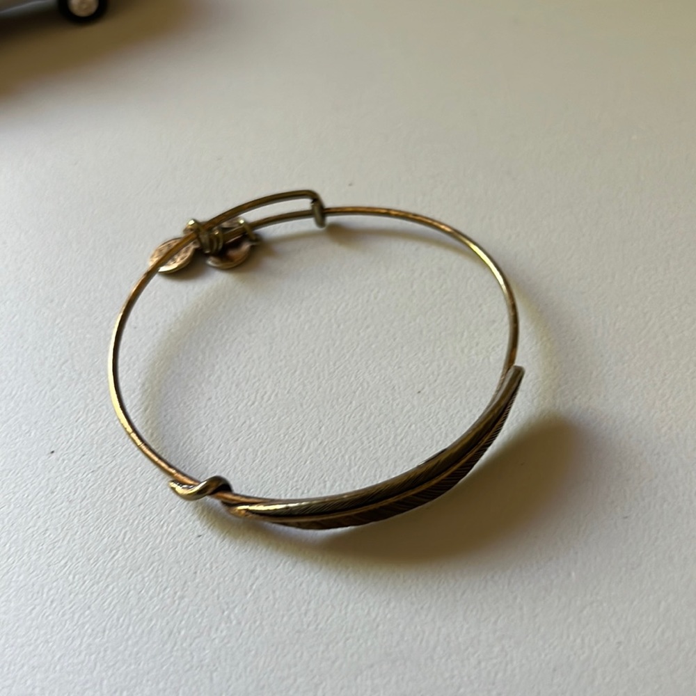 Feather Alex and ani